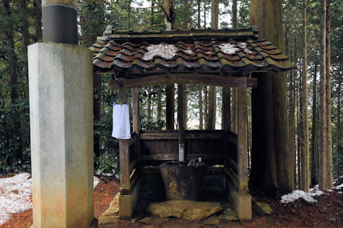 ����O�_�Ё@�萅��