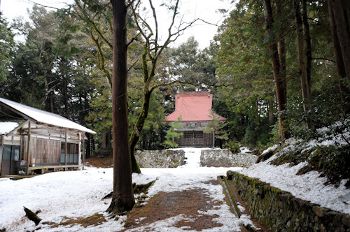 ����O�_�Ё@����