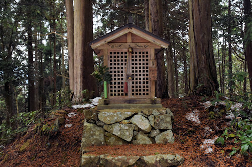 ����O�_�Ё@������