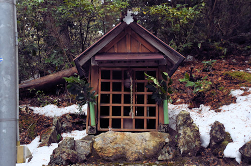 ����O�_�Ё@������