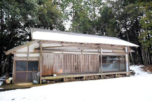 ����O�_�Ё@�Ж���