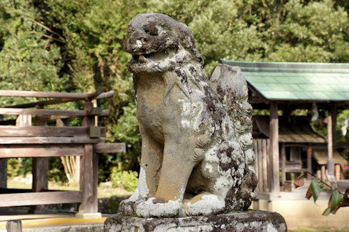 篠田神社 狛犬