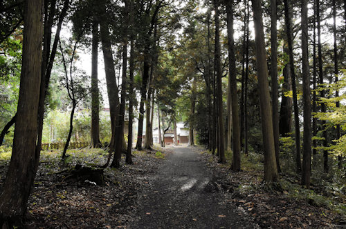 篠田神社 裏参道