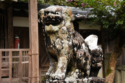 岩戸神社　狛犬