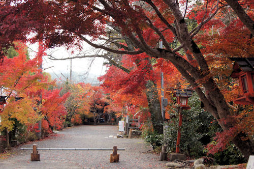 鍬山神社の紅葉